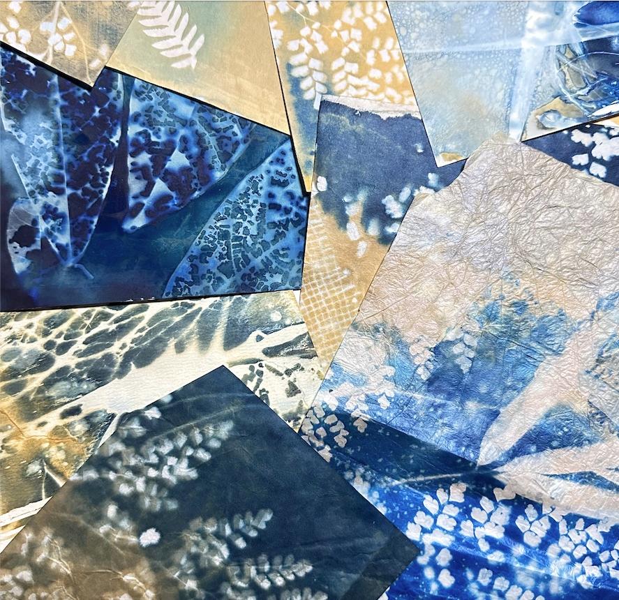 Cyanotype Printmaking & Encaustic Fusion — Truro Center for the Arts at  Castle Hill